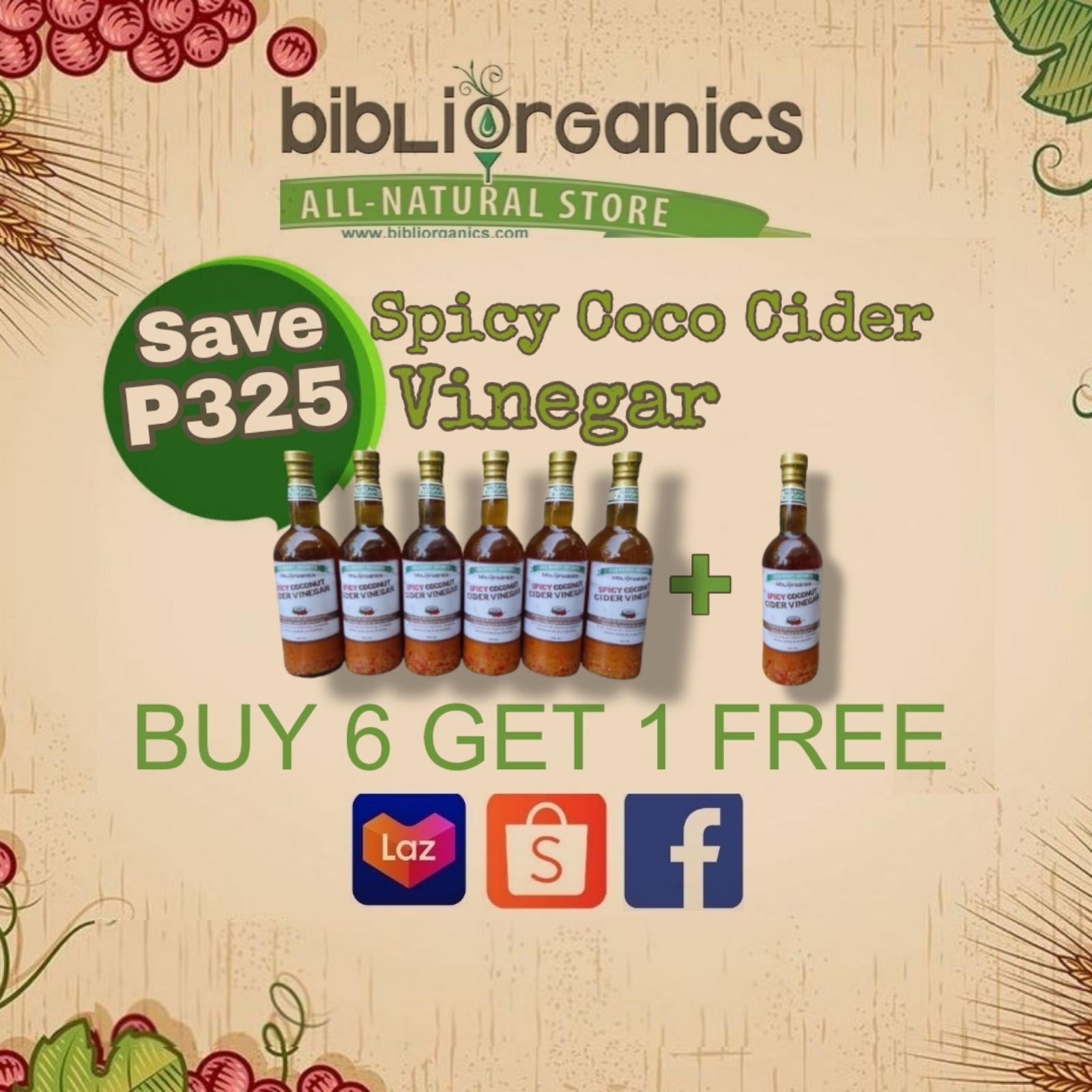 Spicy Coconut Cider Vinegar 6+1 Promo | Organic & Naturally Fermented